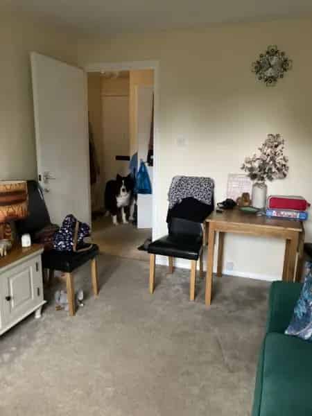 1 Bed GFF Flat Pet-Friendly Quiet Area Near Park