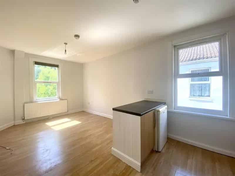 Studio Flat Ideal for Couple or Professional