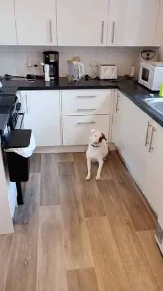 2 Bed House with Wet Room & Stairlift - Garden & Driveway