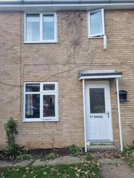 Clean and Tidy Household