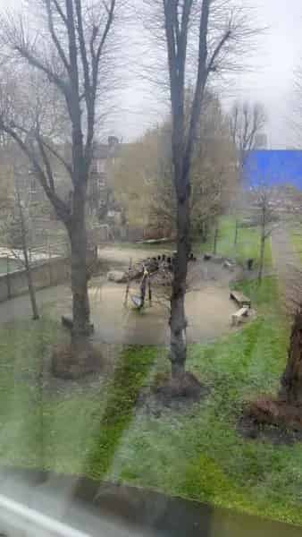 Flat near Hackney Downs and Hackney Central Stations