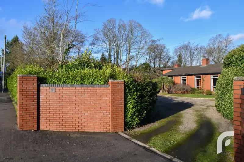 One of a Kind Detached Bungalow Jordanstown Road
