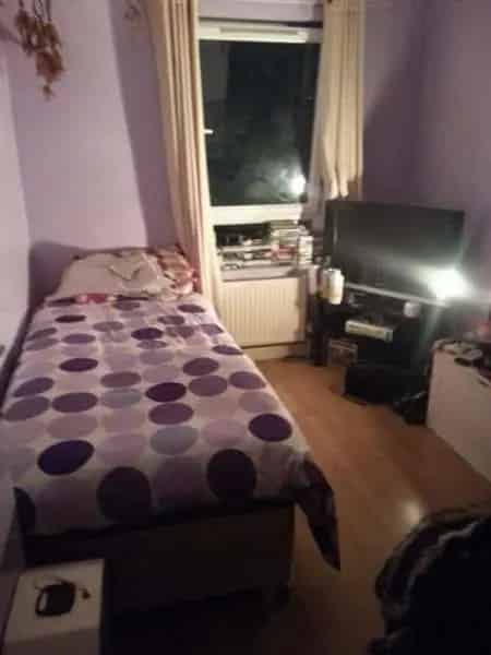 2 Bedroom Flat Near Canary Wharf and Stratford