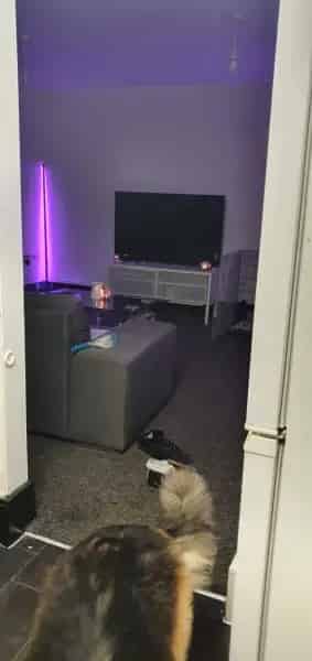 Flat For Rent , Chichester, England