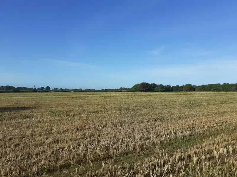 Manor Farm 126 Acres Farmland and Buildings for Sale