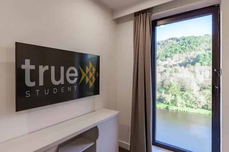 1 Bedroom Flat near Swansea University