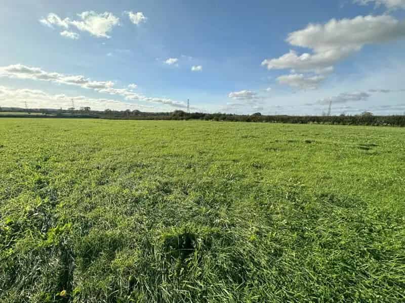 8.2 Acres Agricultural Land for Sale