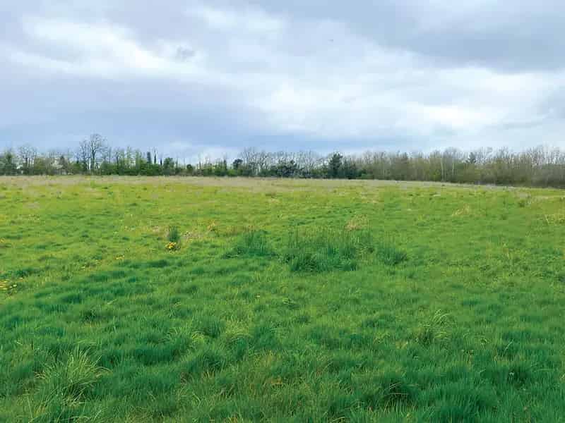 47 Dwellings Planning Permission 5.4 Acre Residential Development Land