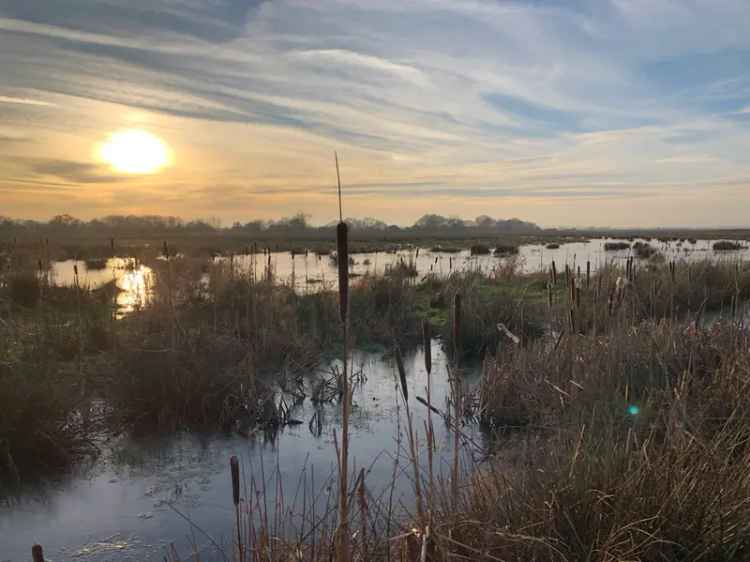 Leven Carrs Landscape Recovery Project: Wetland, Woodland, and Heathland Habitat Restoration