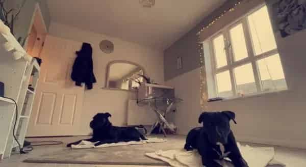 First Floor Flat Northampton Multi Swap Opportunity