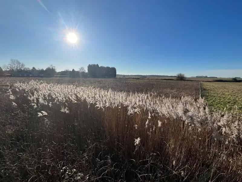 2.12 Acre Grassland Plot near King's Lynn