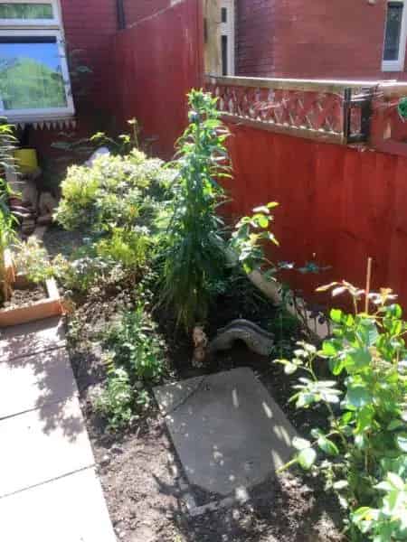 Large One Bed Bungalow