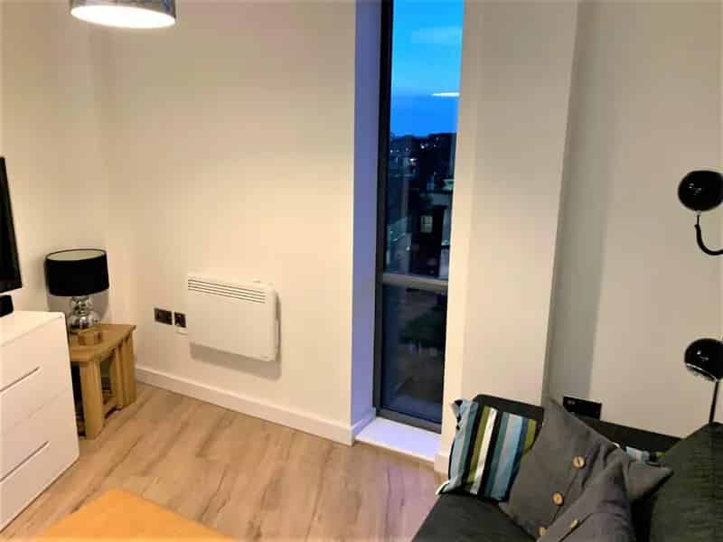 Spacious 1-Bedroom Apartment for Sale Near City Centre