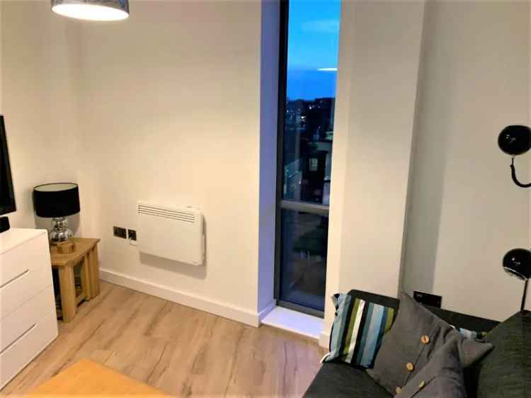 Spacious One Bedroom Apartment Near City Centre