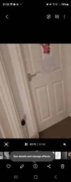 4 Bed House with Garden - 2 Toilets, 1 Bathroom