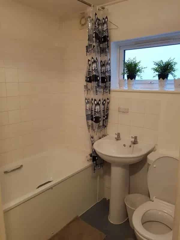 Ground Floor Victorian Terrace Apartment