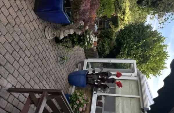 Semi Detached House Near Town Centre Large Garden Conservatory