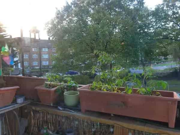 Large 2 Bed House Near Parks Great London Links
