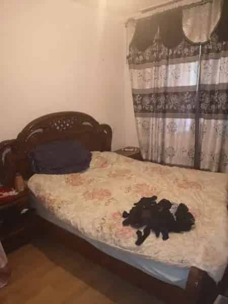Flat For Rent , London, England