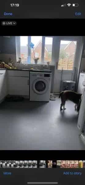 2 Bedroom House Newton Flotman - Family Needs Larger Property