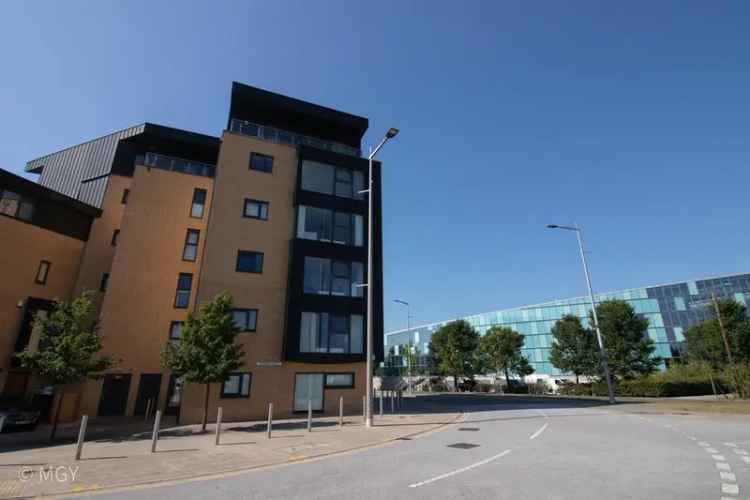 1 Bedroom Apartment to Rent