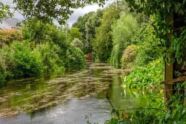 Victorian House with River Views and Large Garden
