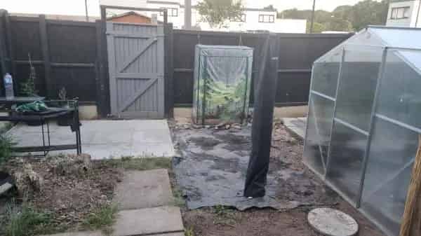 3 Bedroom House Near Schools and Amenities
