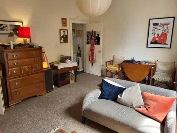 River View Period Flat Spacious High Ceilings Near Docks