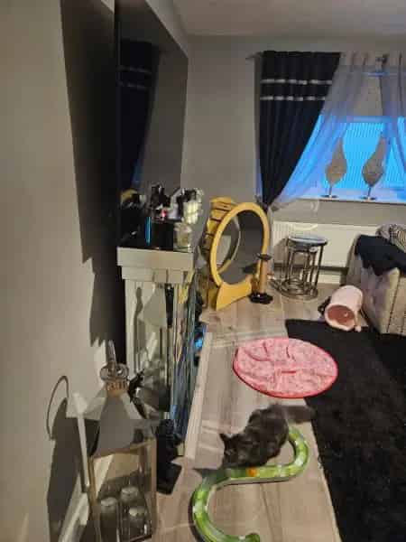 2 Bed Ground Floor Flat Clacton-on-Sea