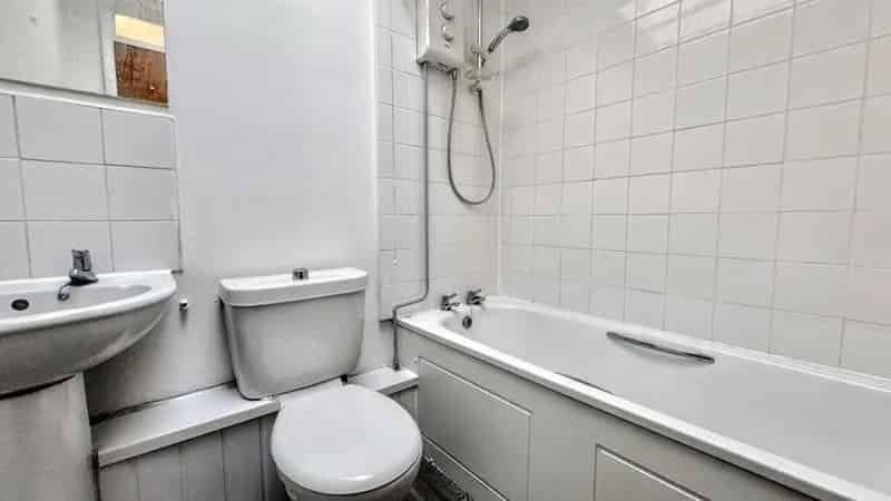 1 Bedroom Apartment Available End of May