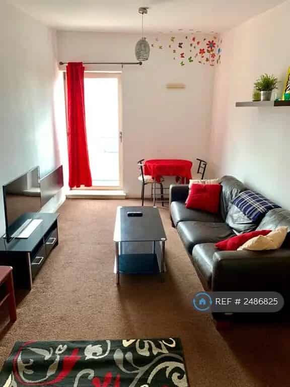 1 Bedroom City Centre Apartment Available May 29 2025