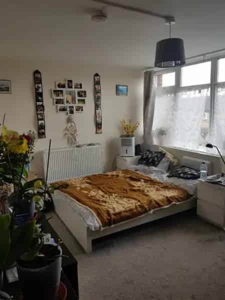 Quiet Flat near Town Center Pet Friendly Single Person