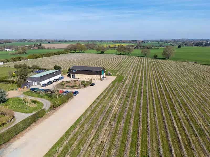 Vineyard Winery Holiday Let in Chet Valley