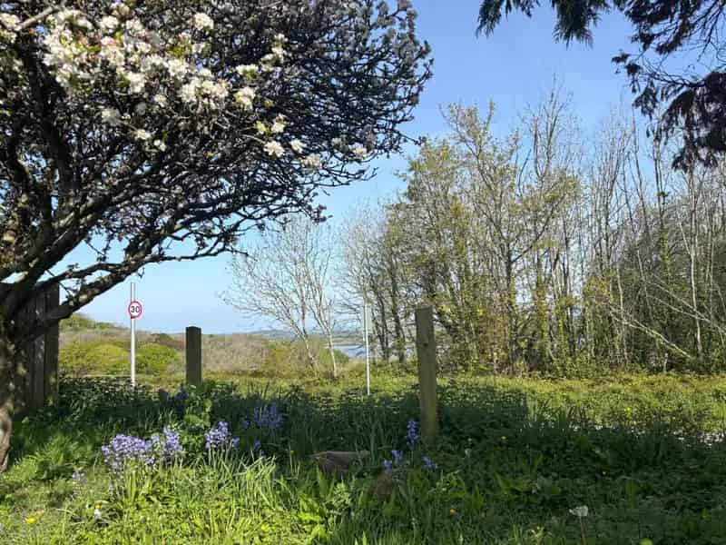 3-Bedroom Detached House Building Plot For Sale