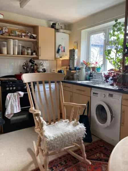 Updated Home with New Bath Accessibility Features and Fruit Trees