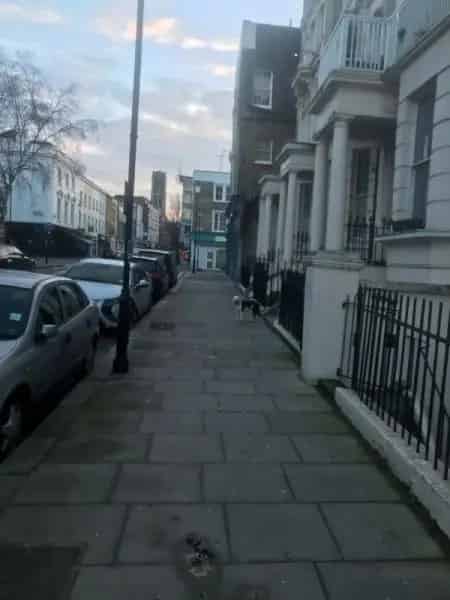 2-Bedroom Victorian Conversion Notting Hill High Ceilings Garden