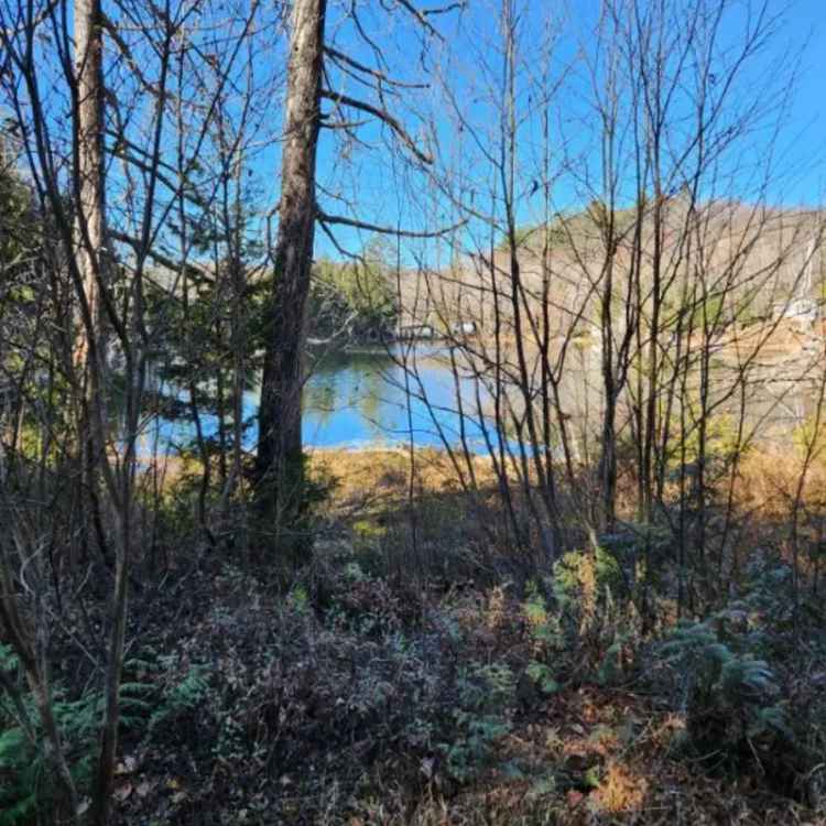 3 Bedroom Waterfront Property 6.6 Acres Mountain Views