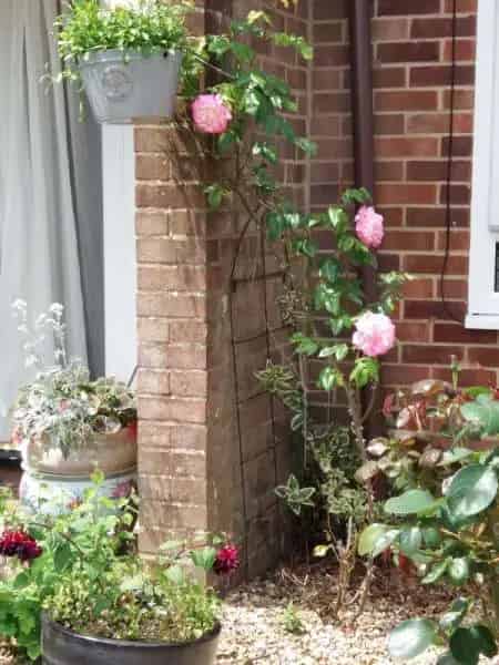 House For Rent , East Knoyle, England