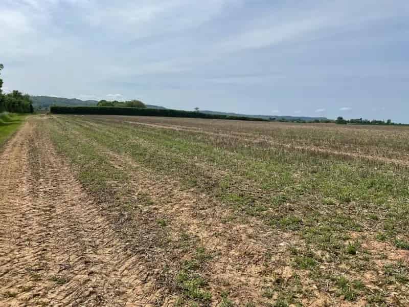 19 Acre Freehold Land Plot for Sale