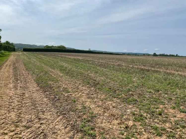 19 Acre Freehold Land Plot for Sale