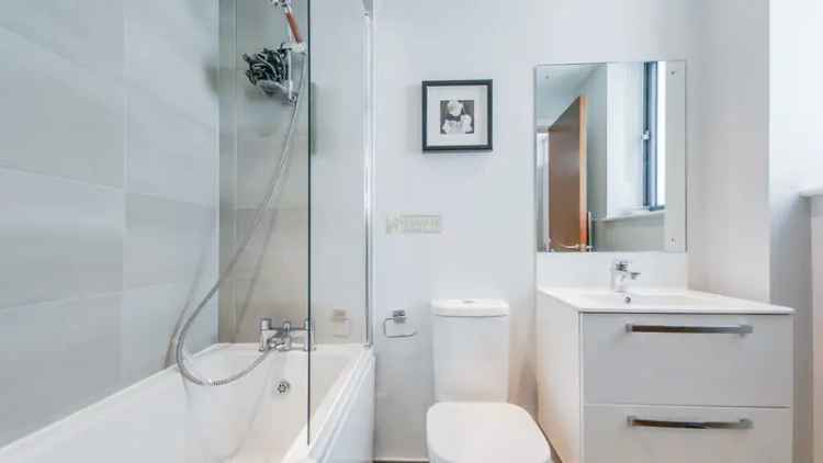 Luxury 1 Bedroom Flat near City Center