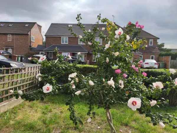 Large 3 Bed Semi Detached House Near Elstree Studios