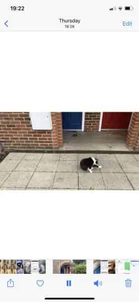 Two Bedroom Semidetached House with Garden