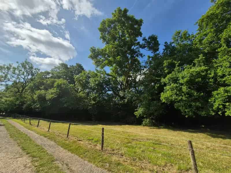 Agricultural Land for Sale