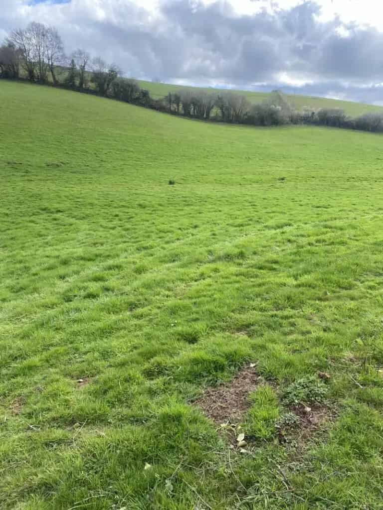 5.12 Acres Land for Equestrian or Smallholding