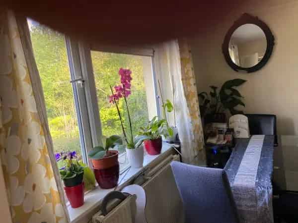 Two Kingsize Beds Apartment Large Kitchen Sitting Room Adapted Shower