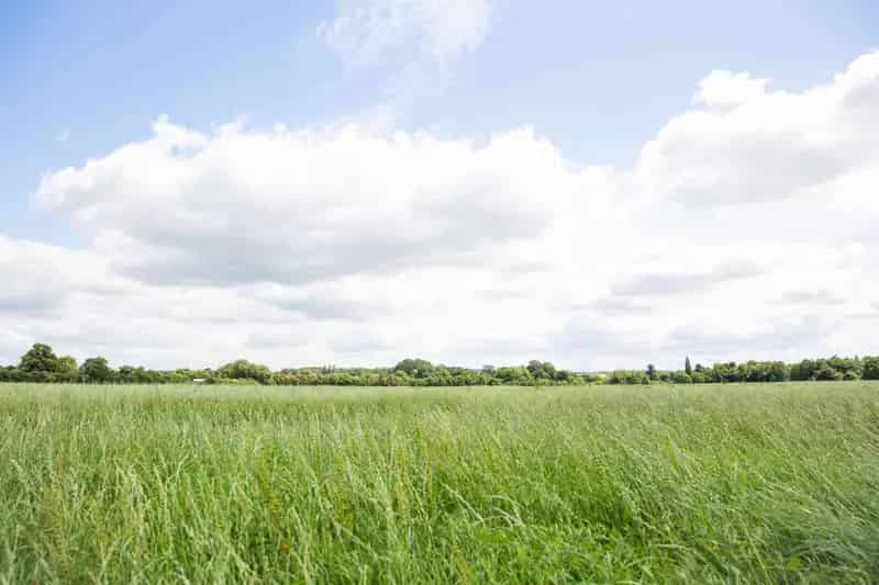 Agricultural Land for Sale Wallingford Oxfordshire