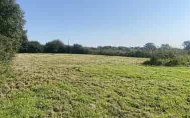 Level Paddock near Sherford - Ideal for Horses or Peaceful Retreat