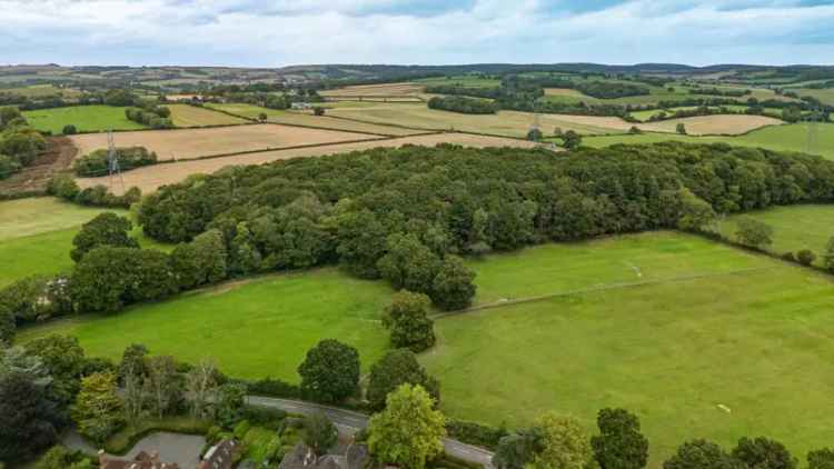 14 Acres Ancient Woodland with Walking Path