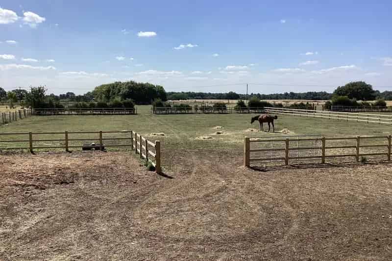 Equestrian Property with 12 Stables and Floodlit Menage